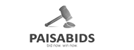 免费ddos网页端